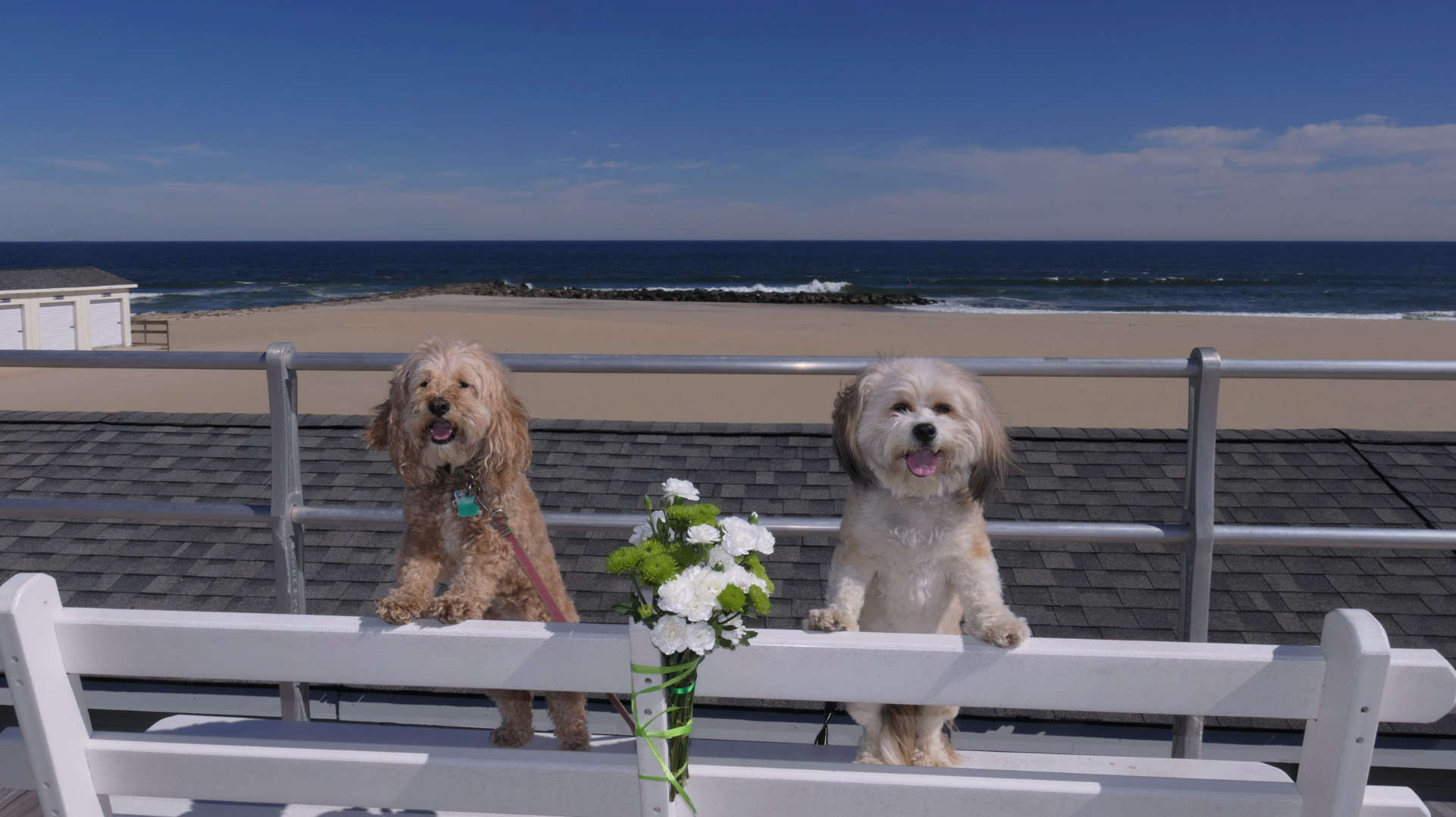 Allenhurst