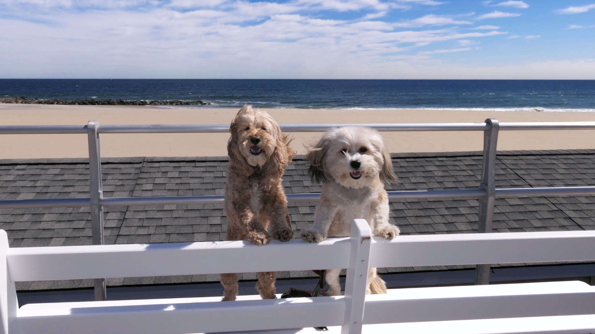 Allenhurst2