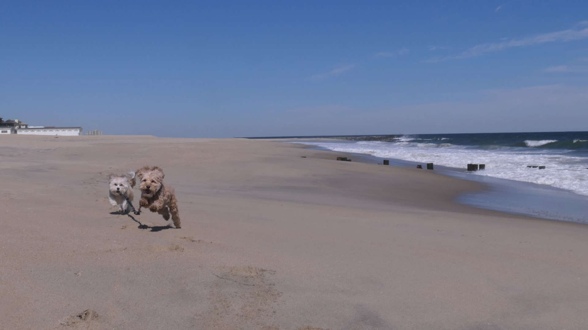 Allenhurst3