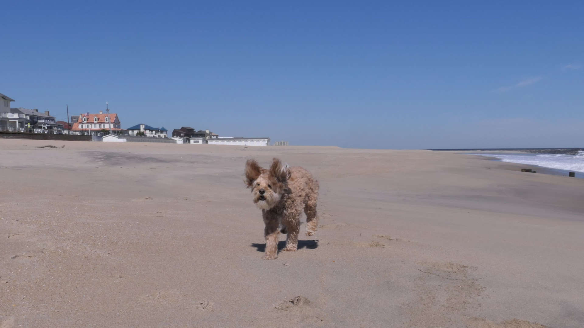 Allenhurst4