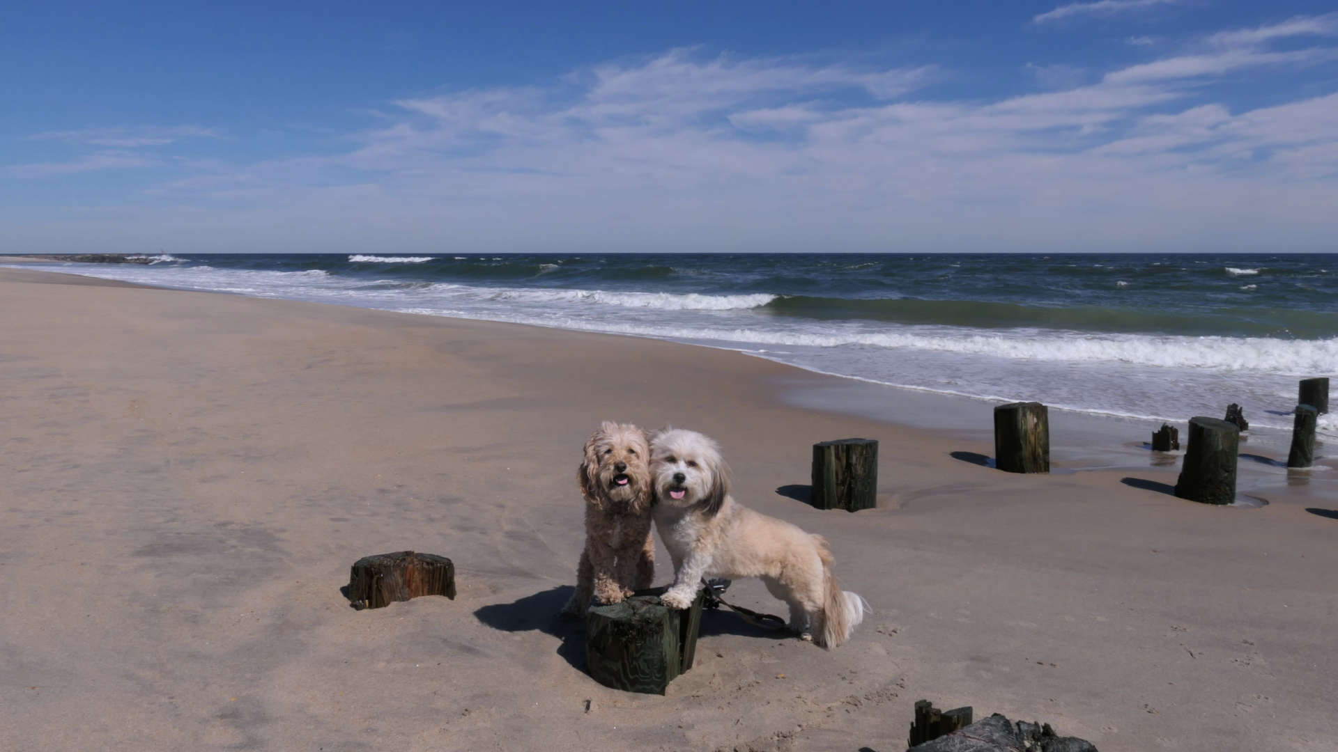 Allenhurst5