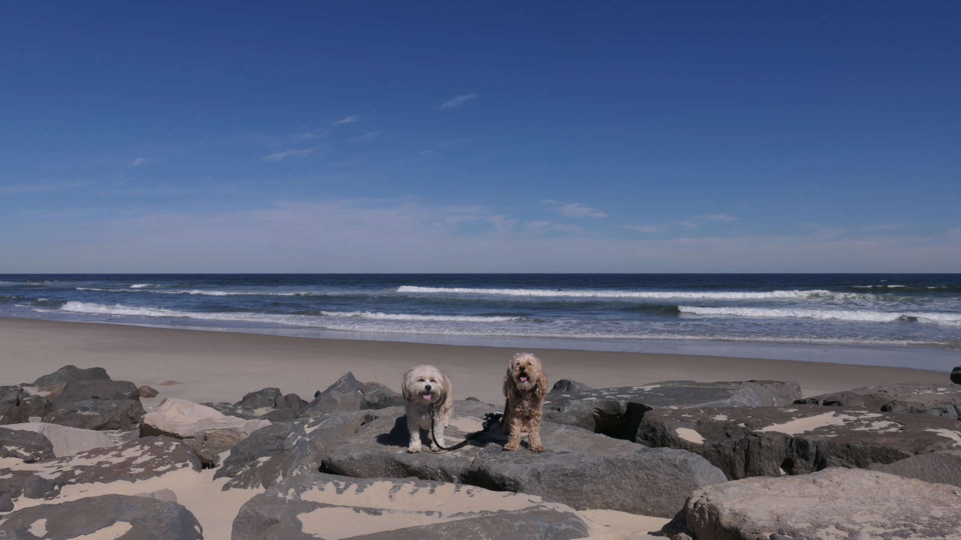 Allenhurst7