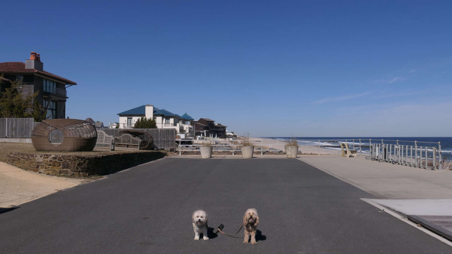 Allenhurst8