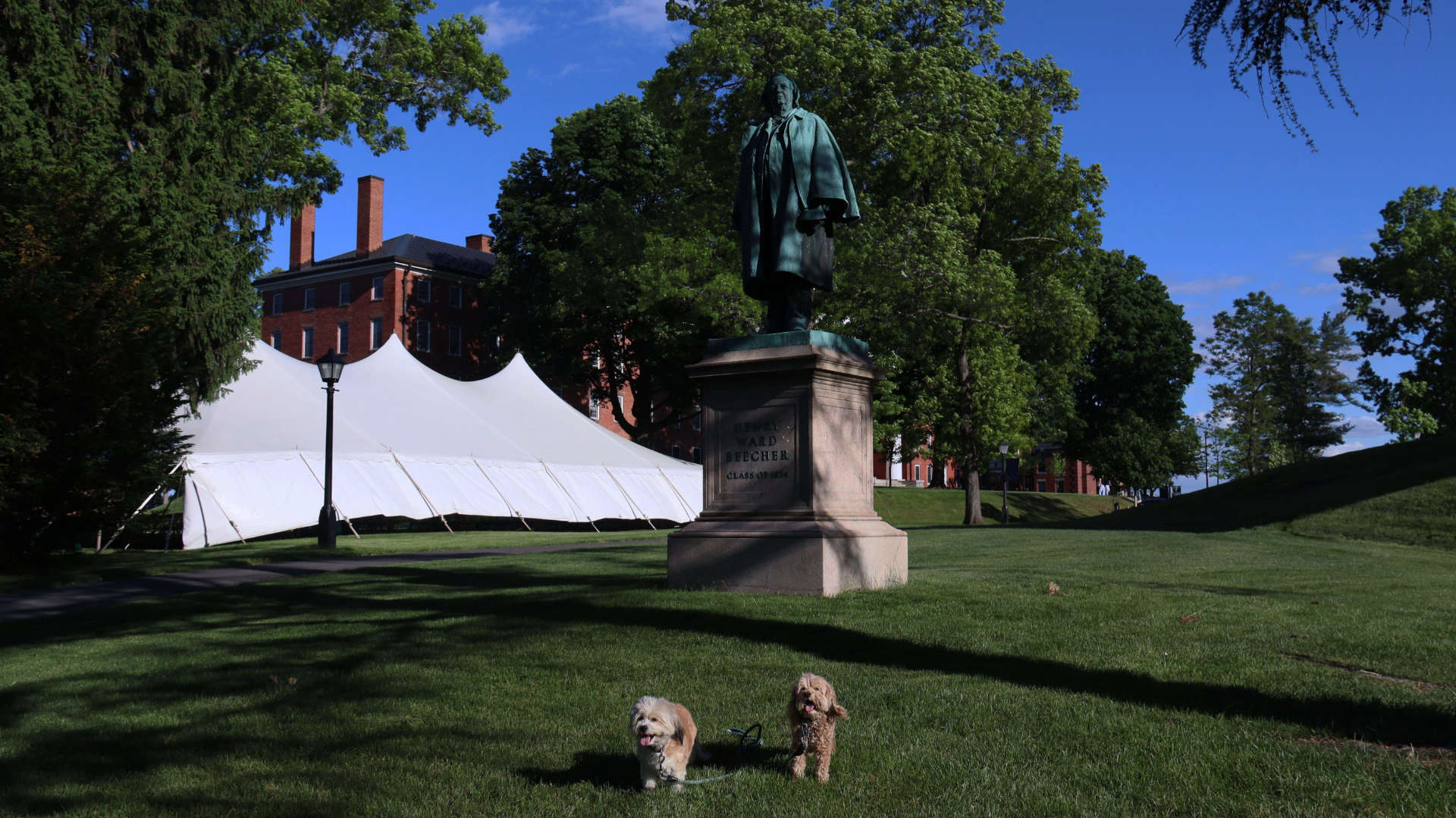 Amherst107