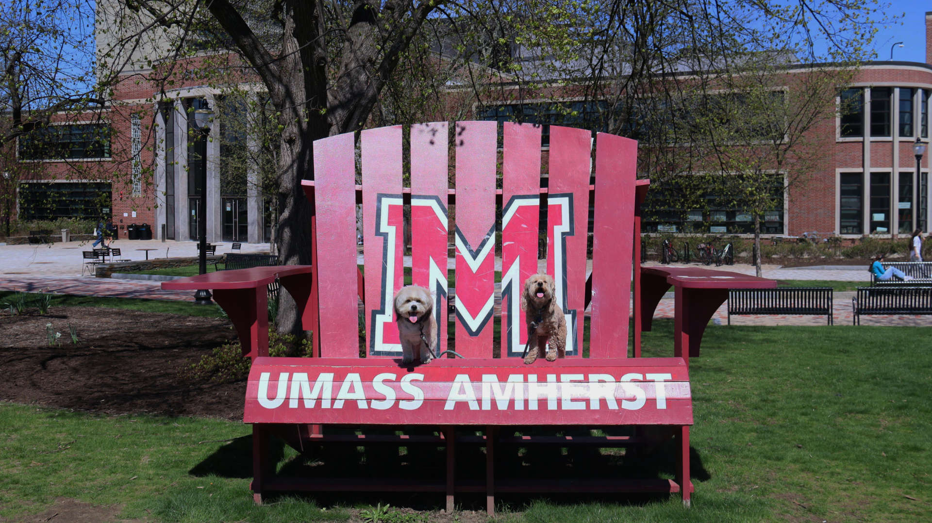 Amherst67