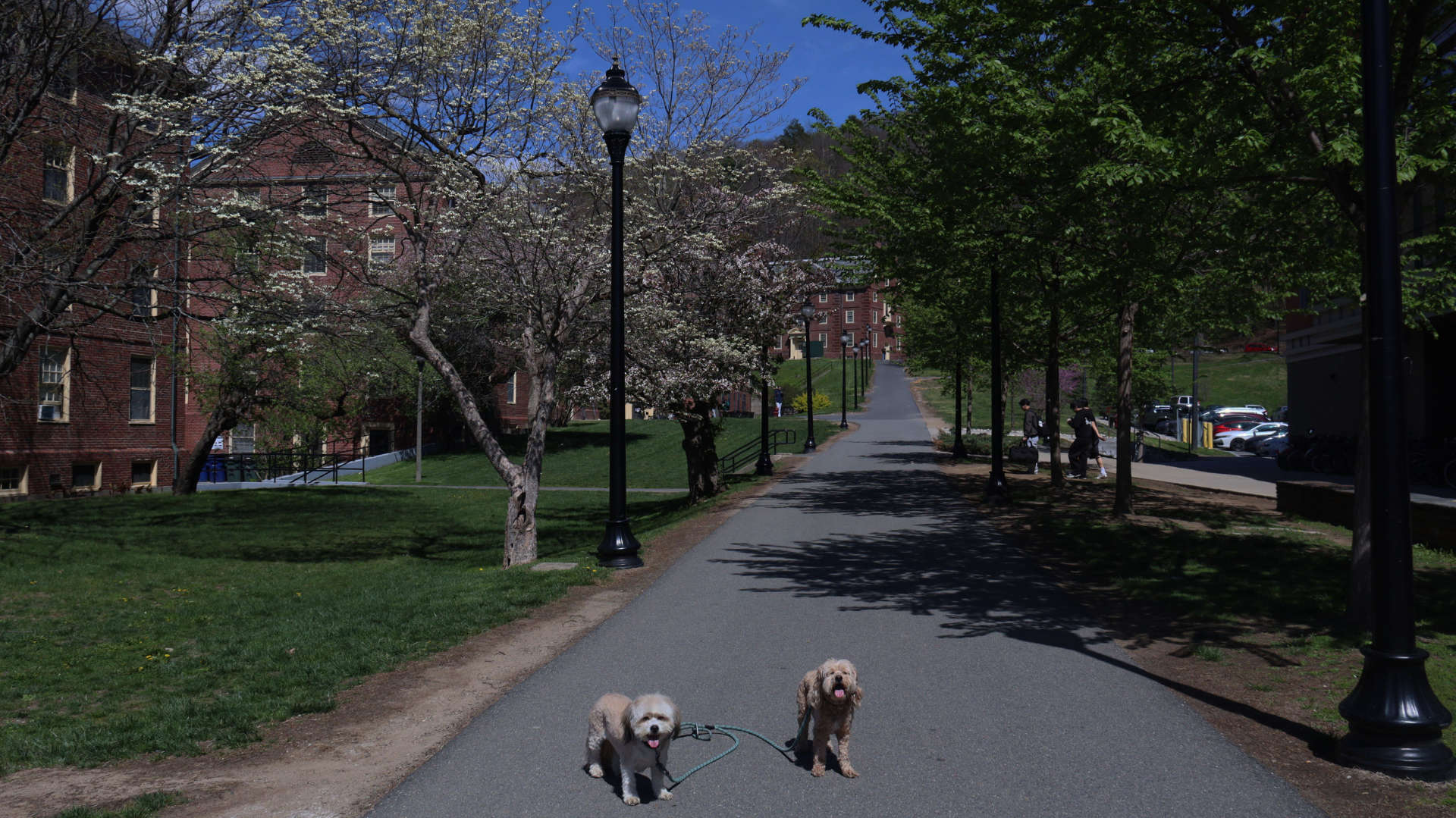 Amherst72