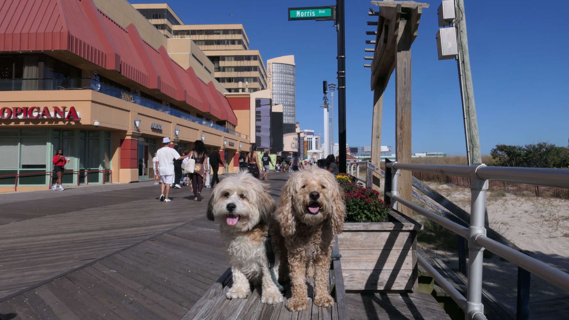 Atlantic_City23
