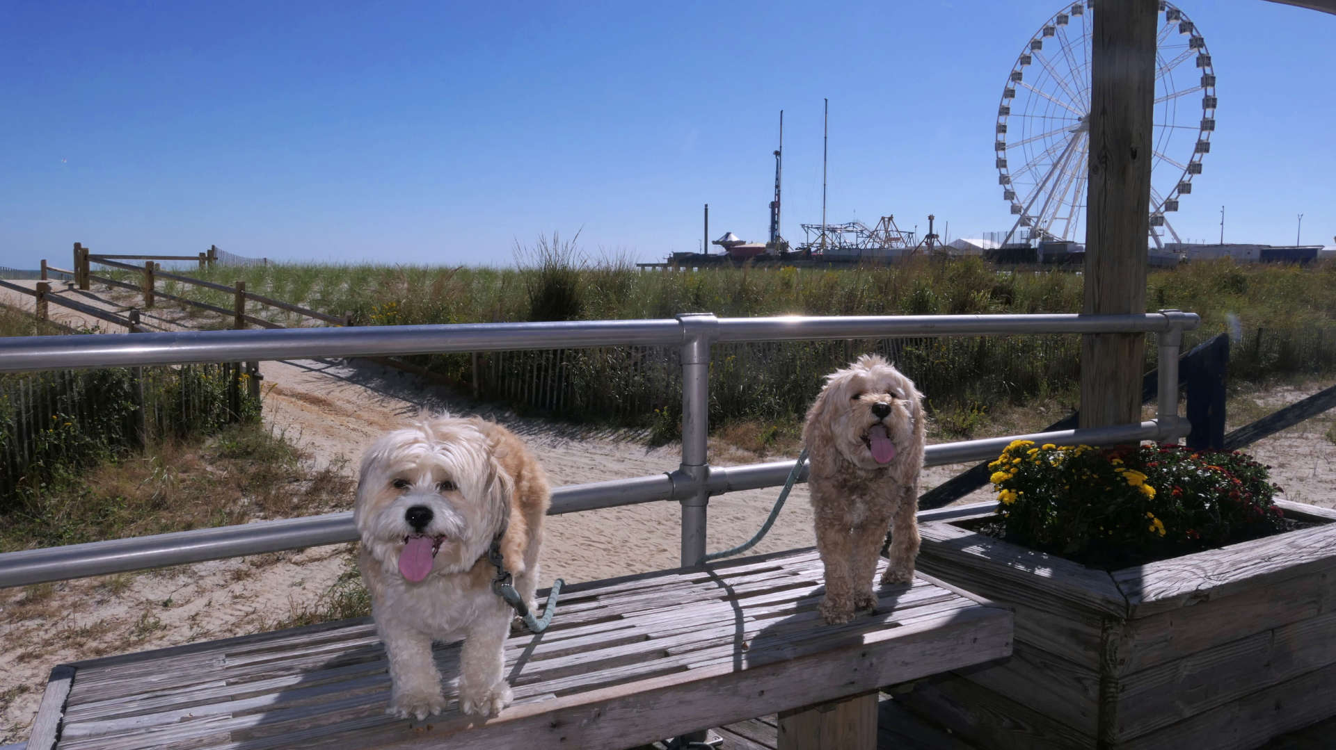 Atlantic_City3