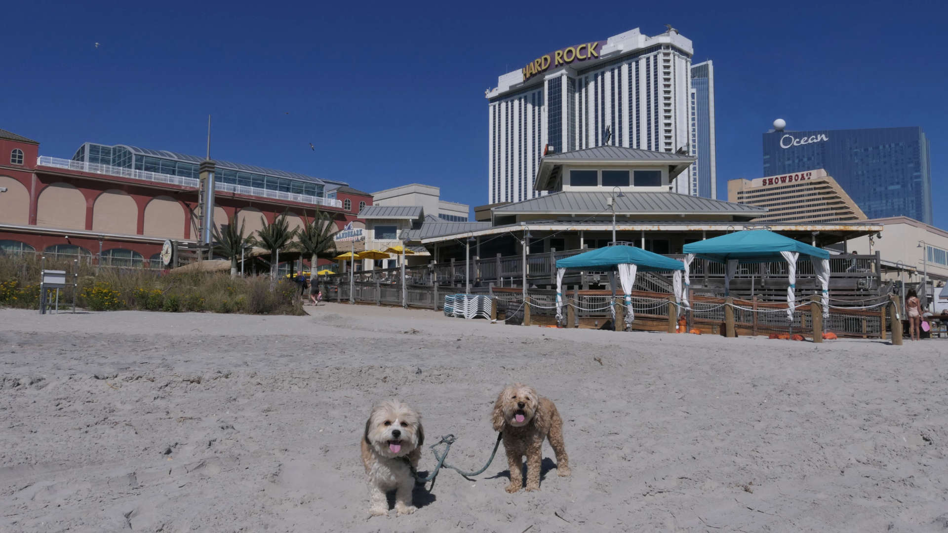 Atlantic_City31