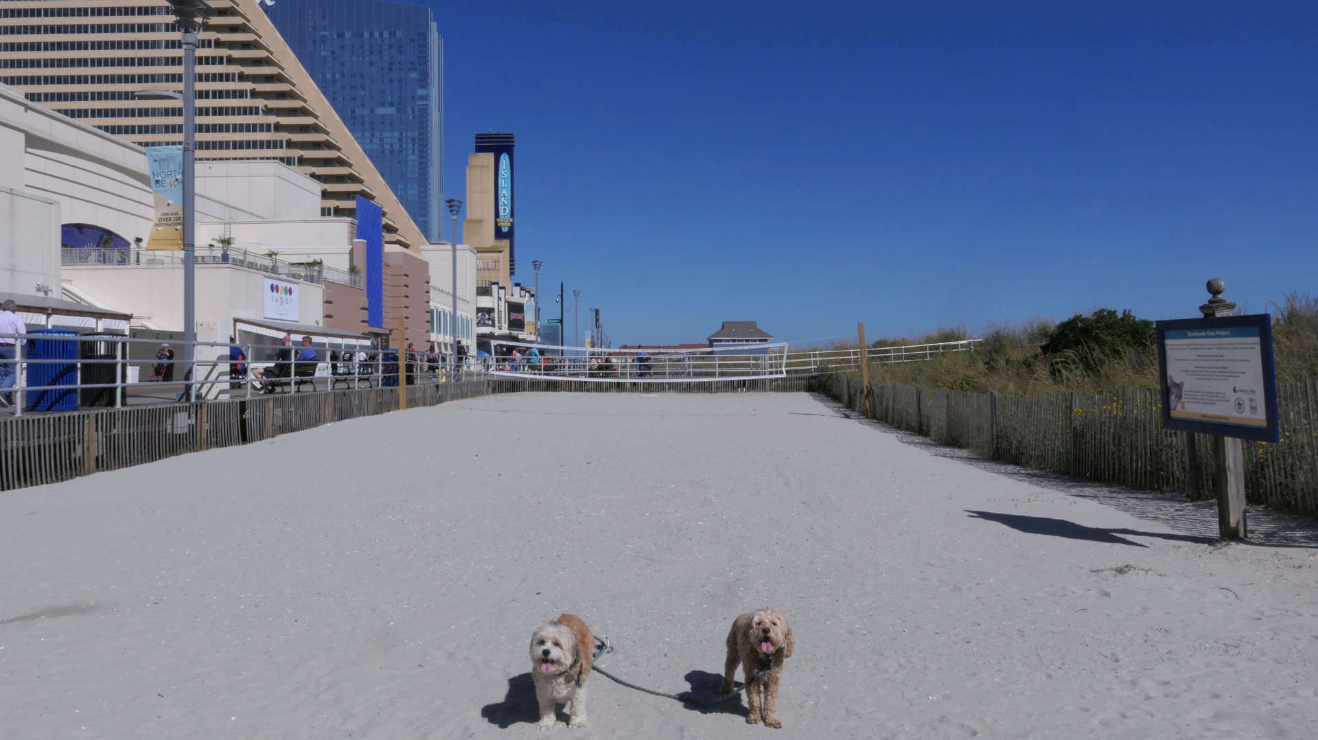 Atlantic_City34