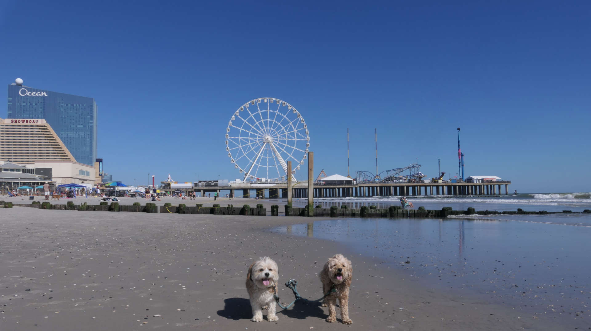 Atlantic_City35