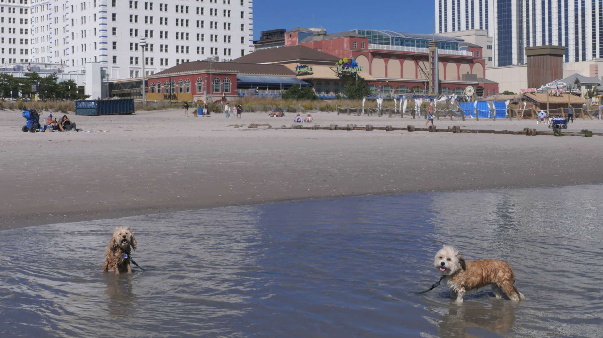 Atlantic_City39