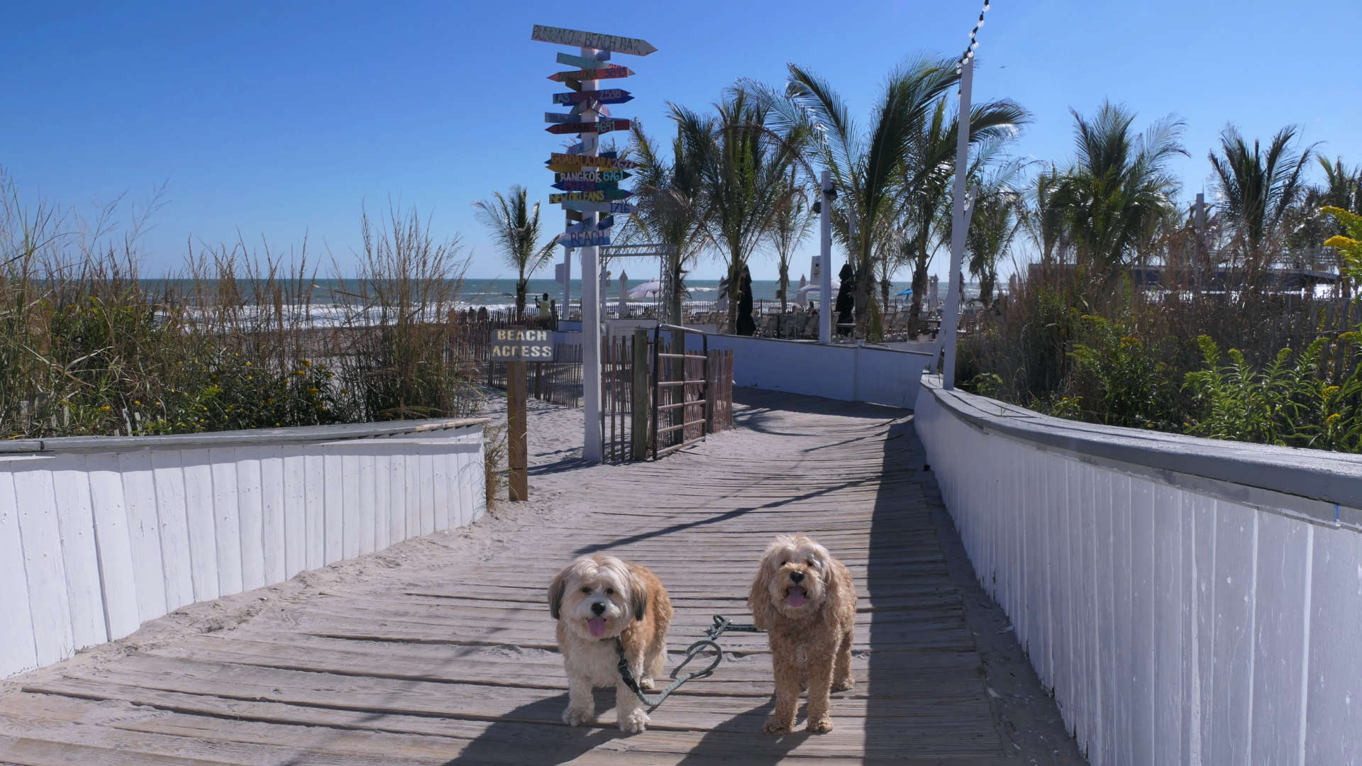 Atlantic_City41