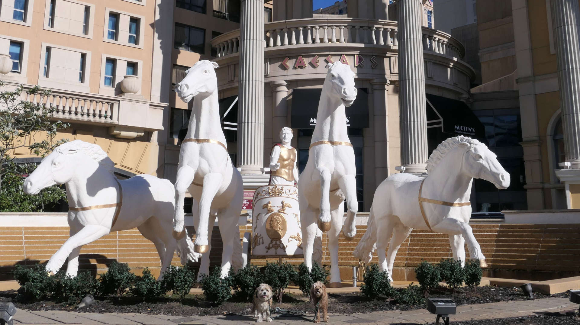 Atlantic_City55