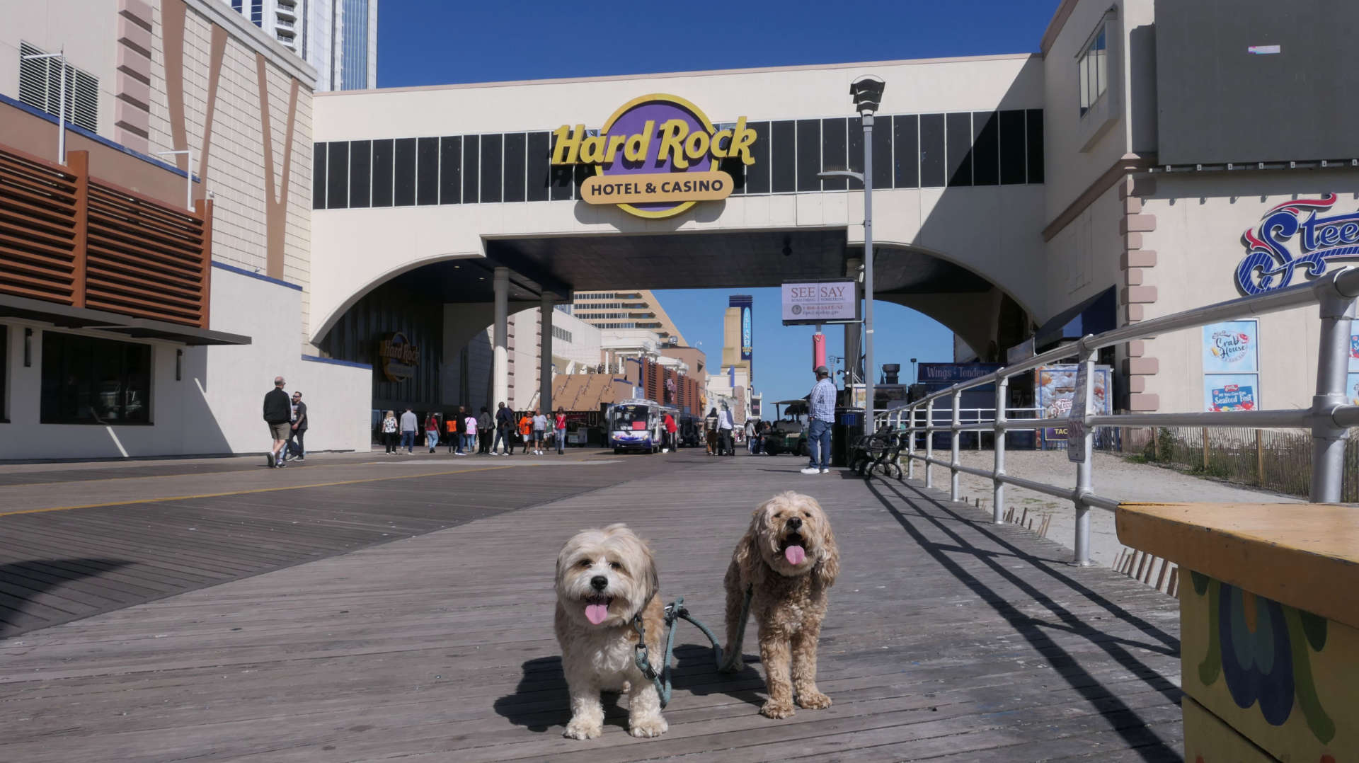 Atlantic_City6