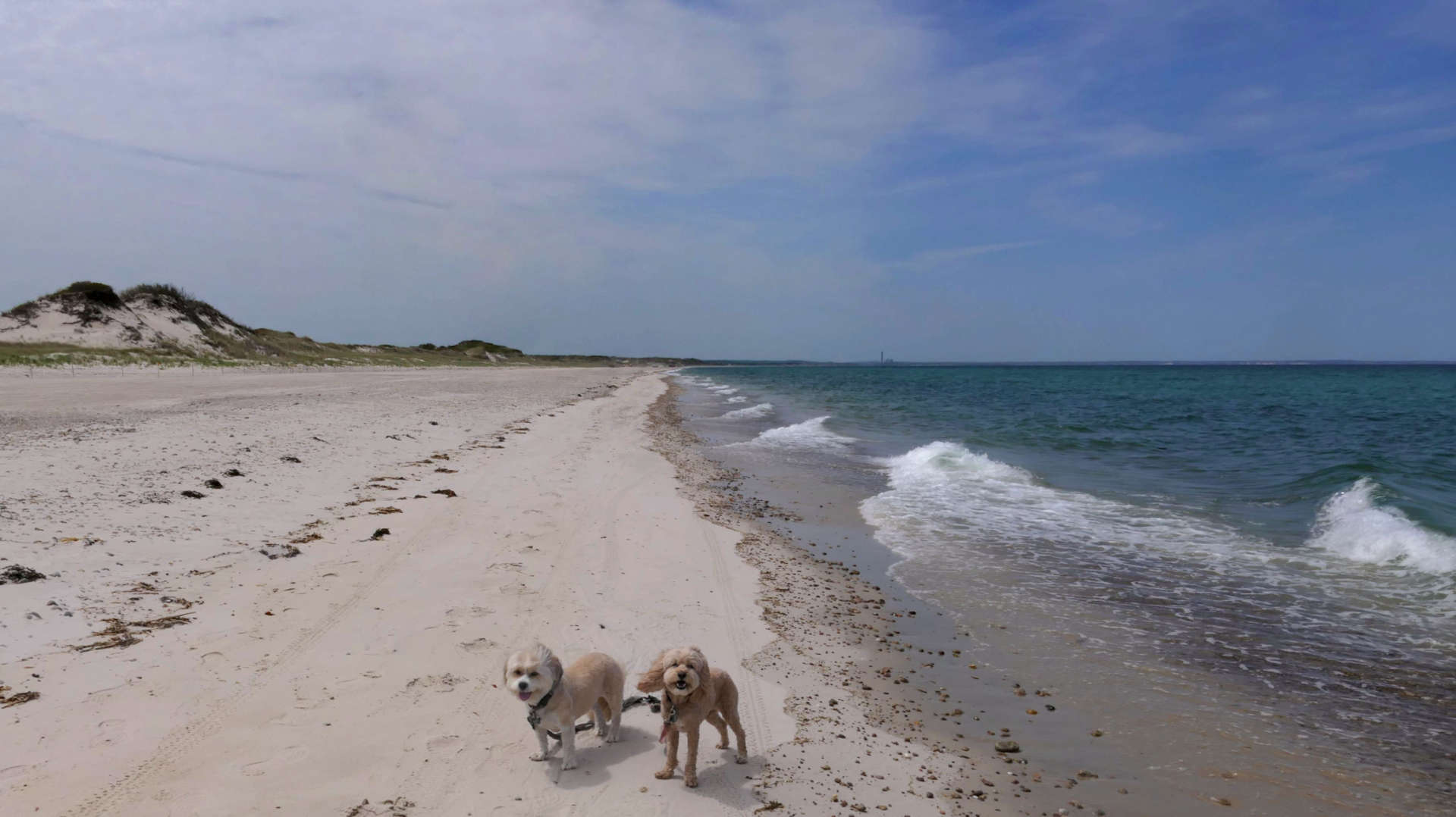 Barnstable65