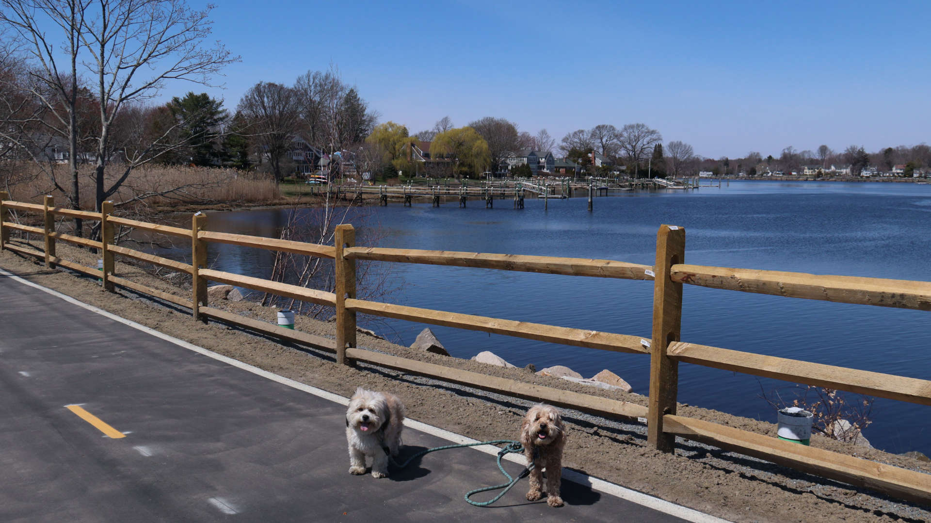 Barrington116
