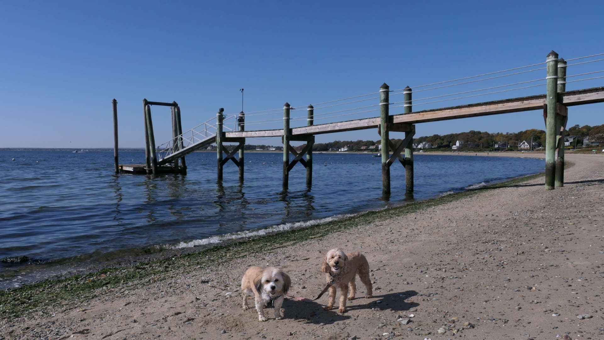 Barrington Town Beach