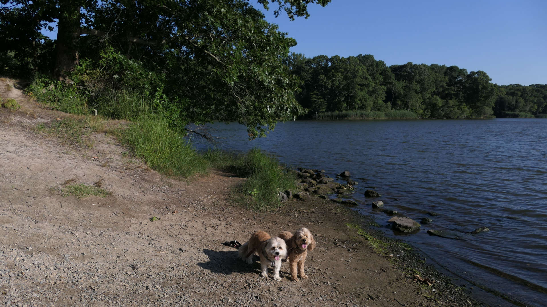 Brickyard Pond Conservation Area