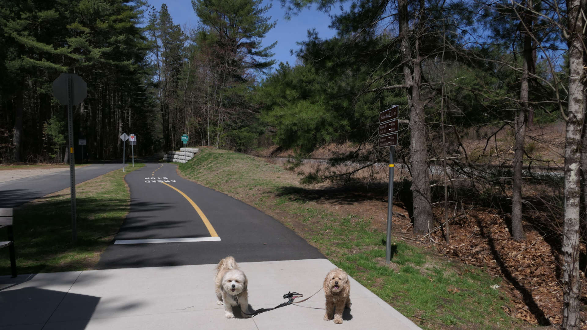 Belchertown5