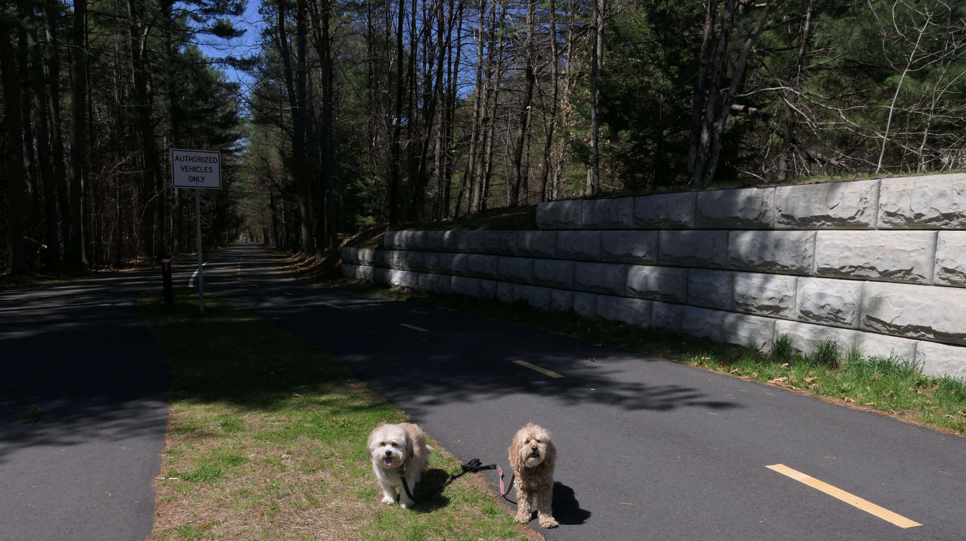 Belchertown6