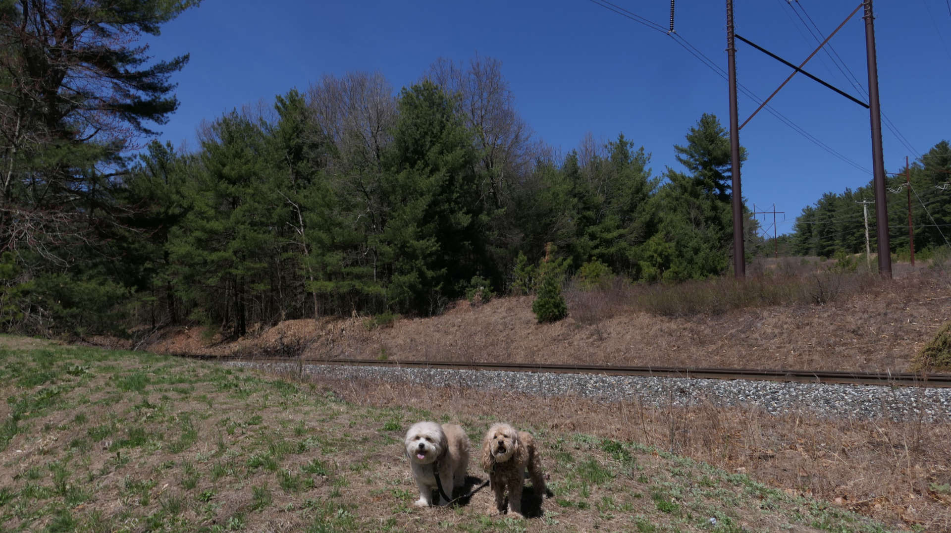 Belchertown7