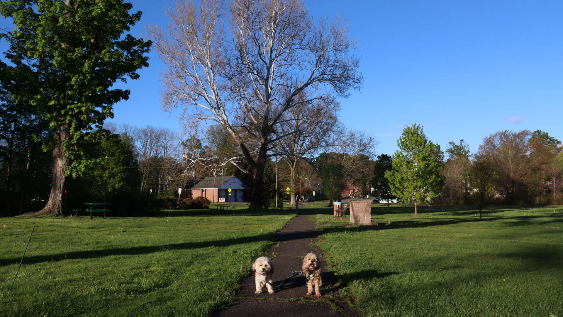 Bernardston16