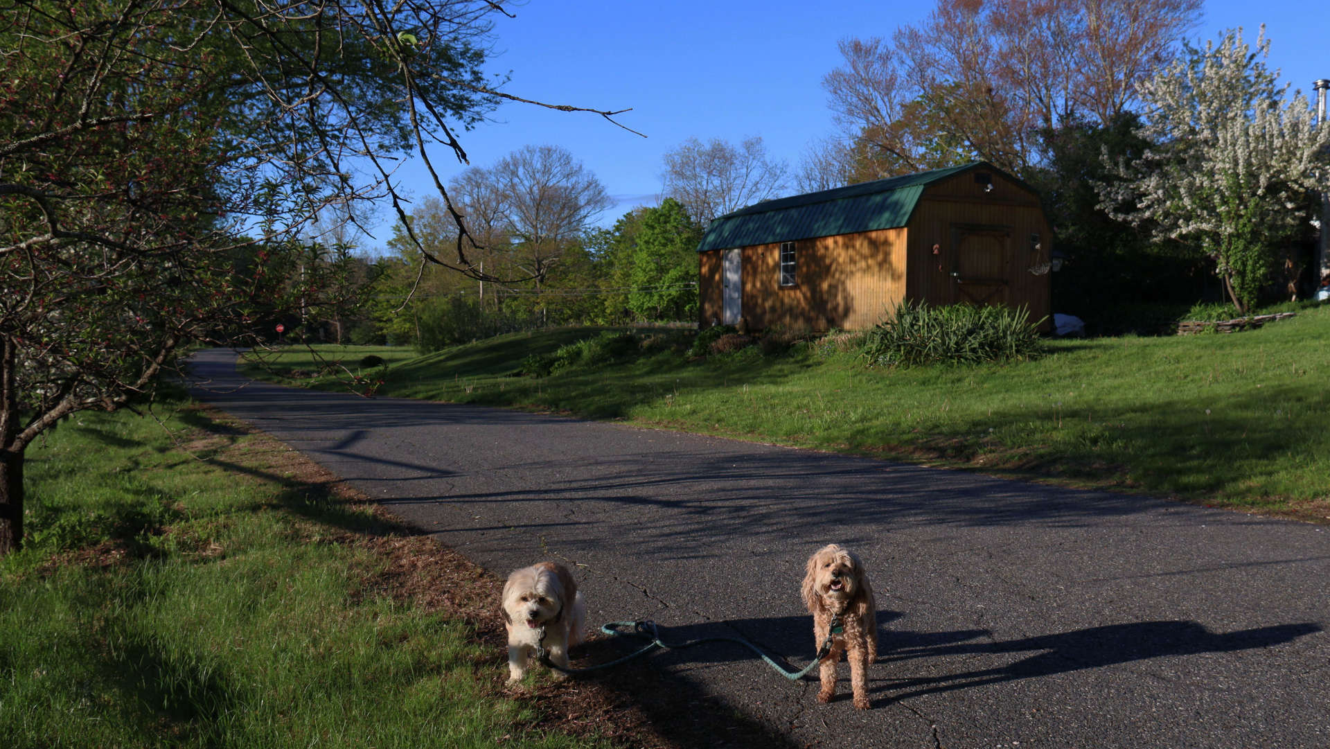 Bernardston8