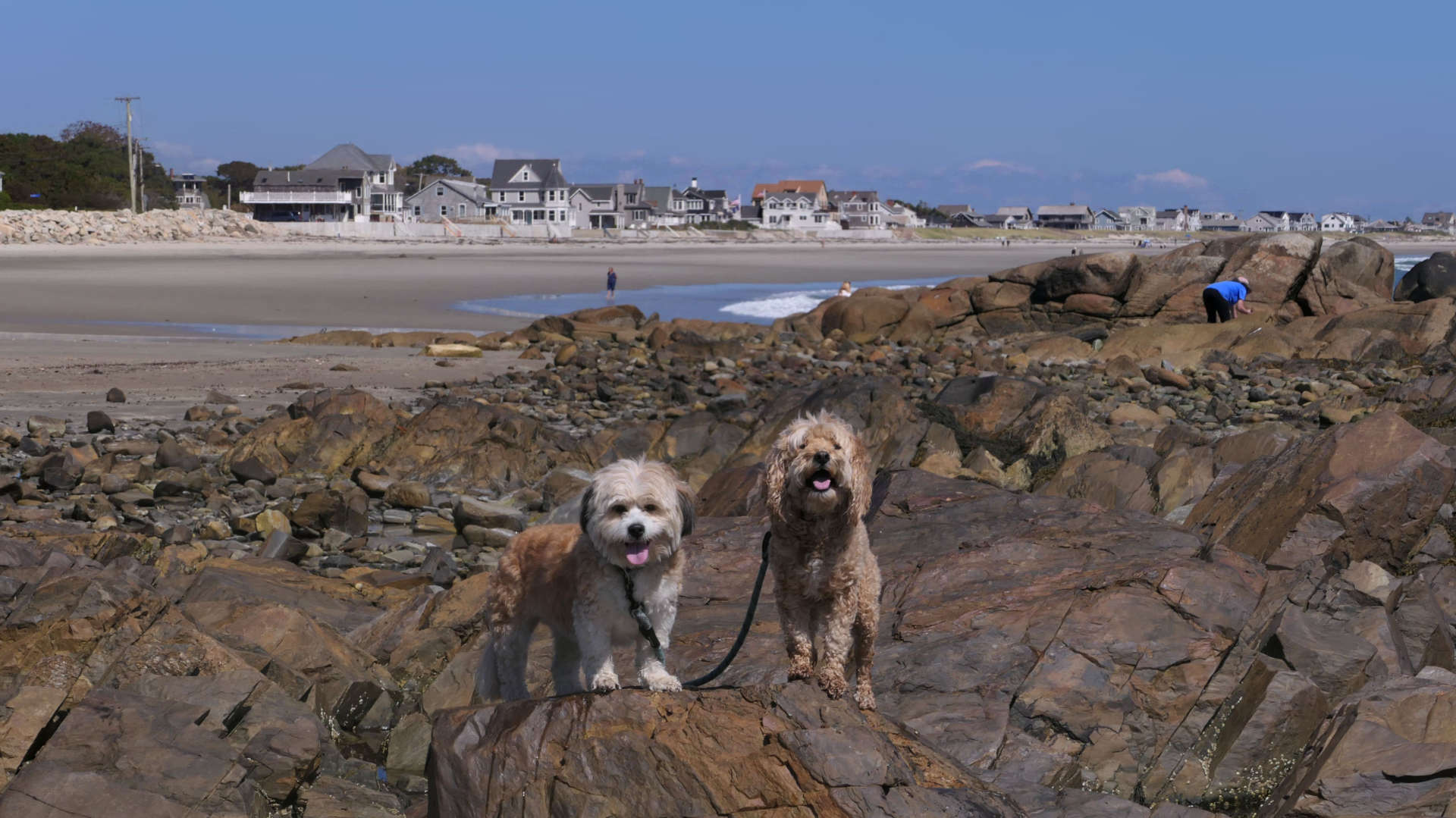 Biddeford12