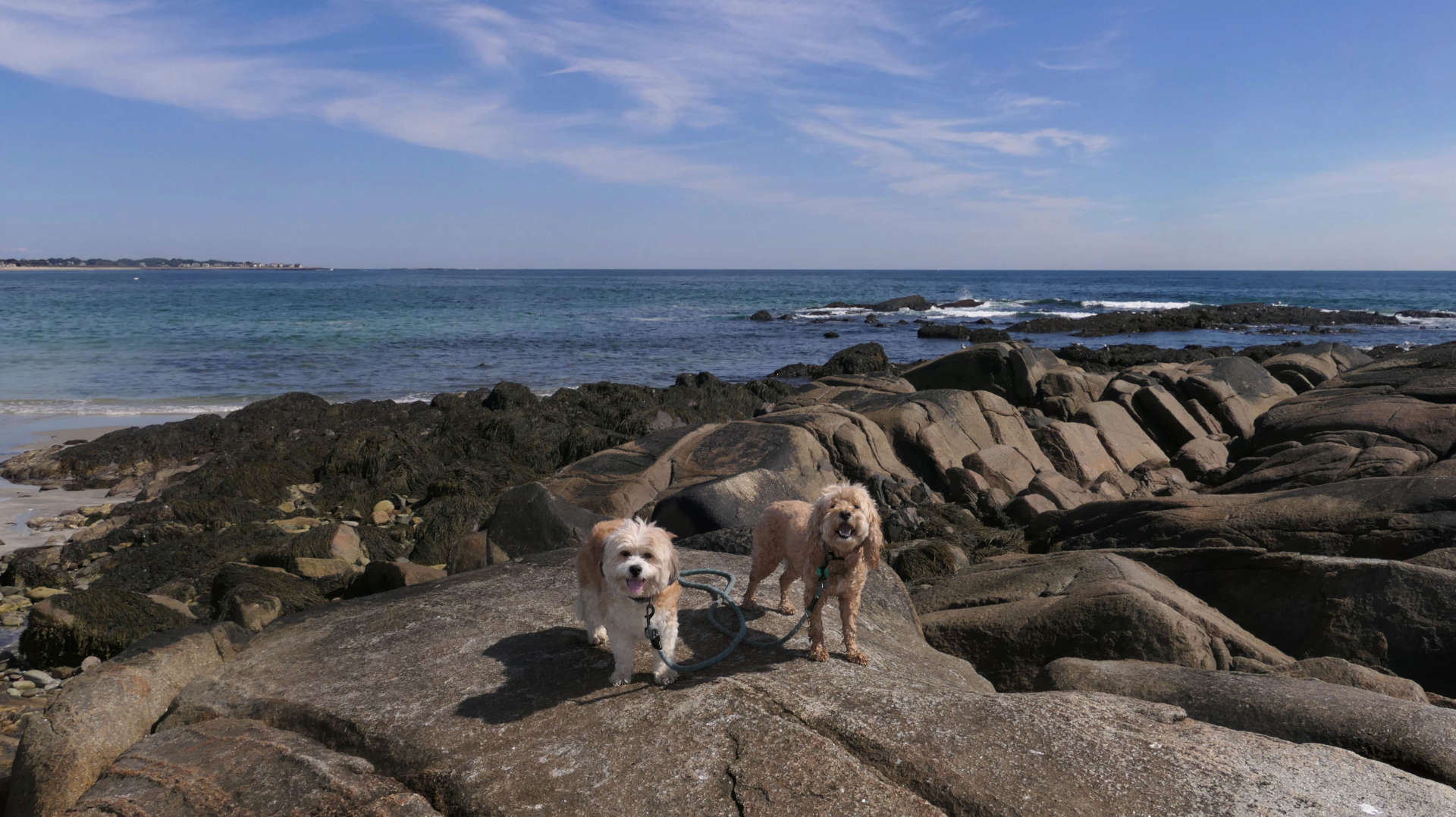 Biddeford15