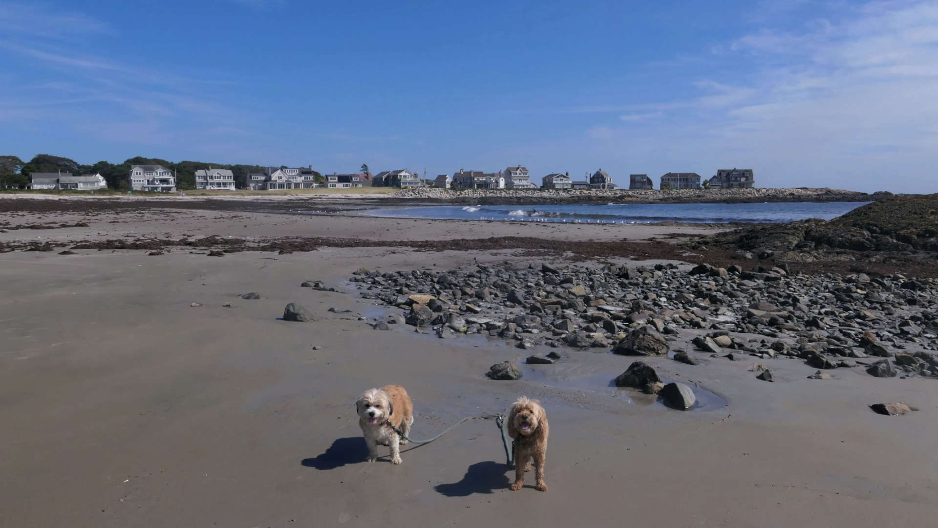 Biddeford27