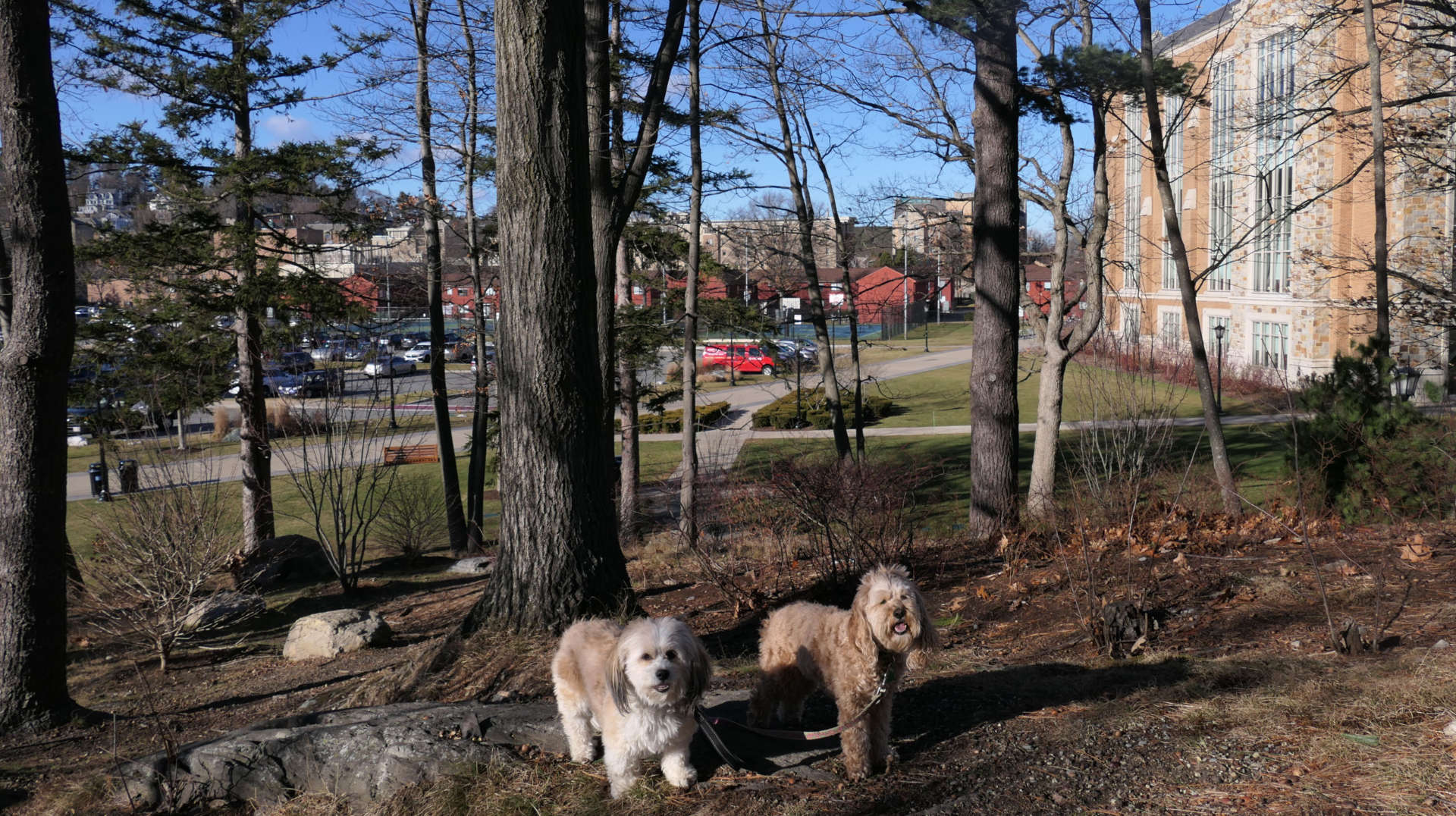 Boston253