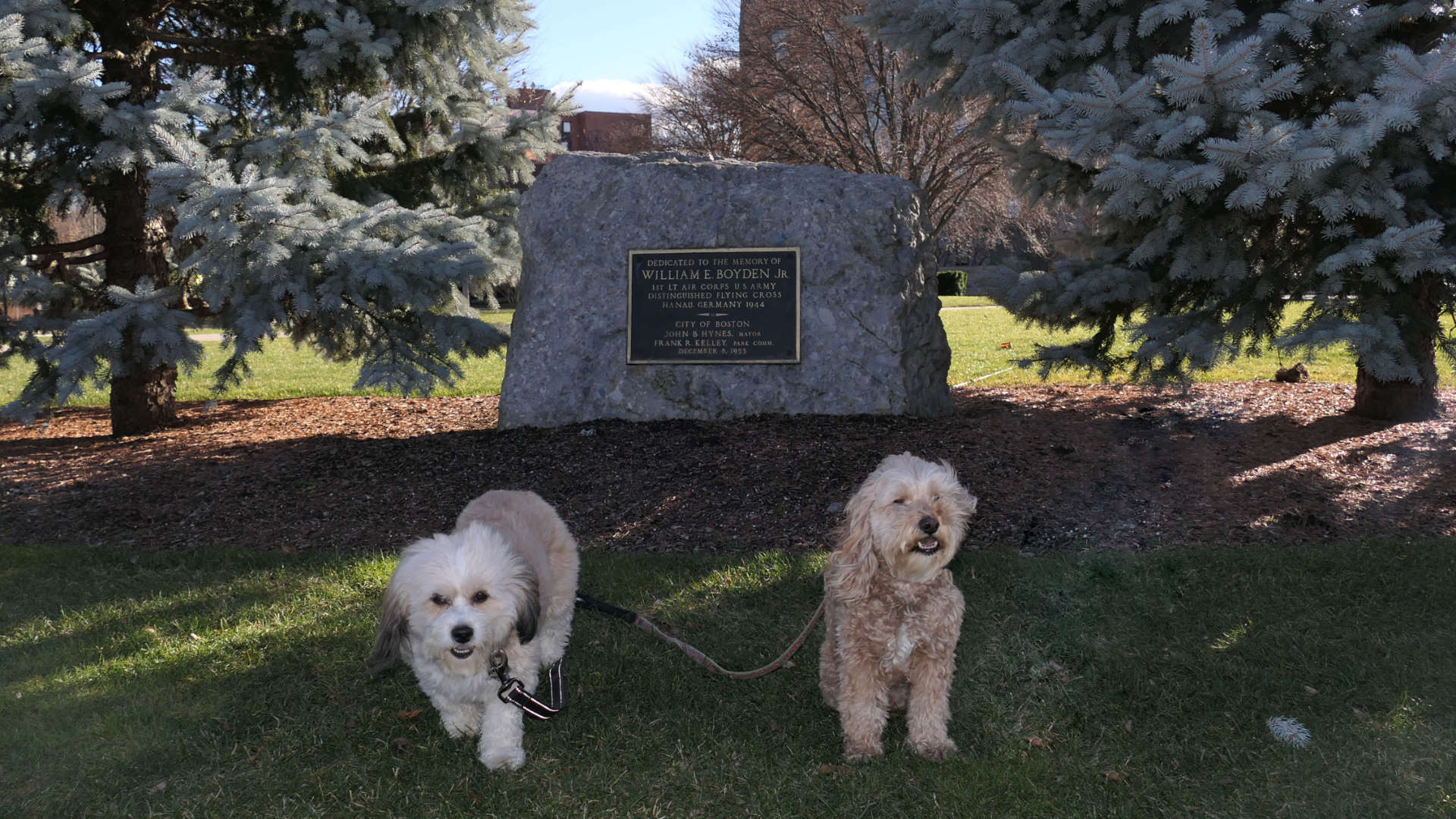 Boston257