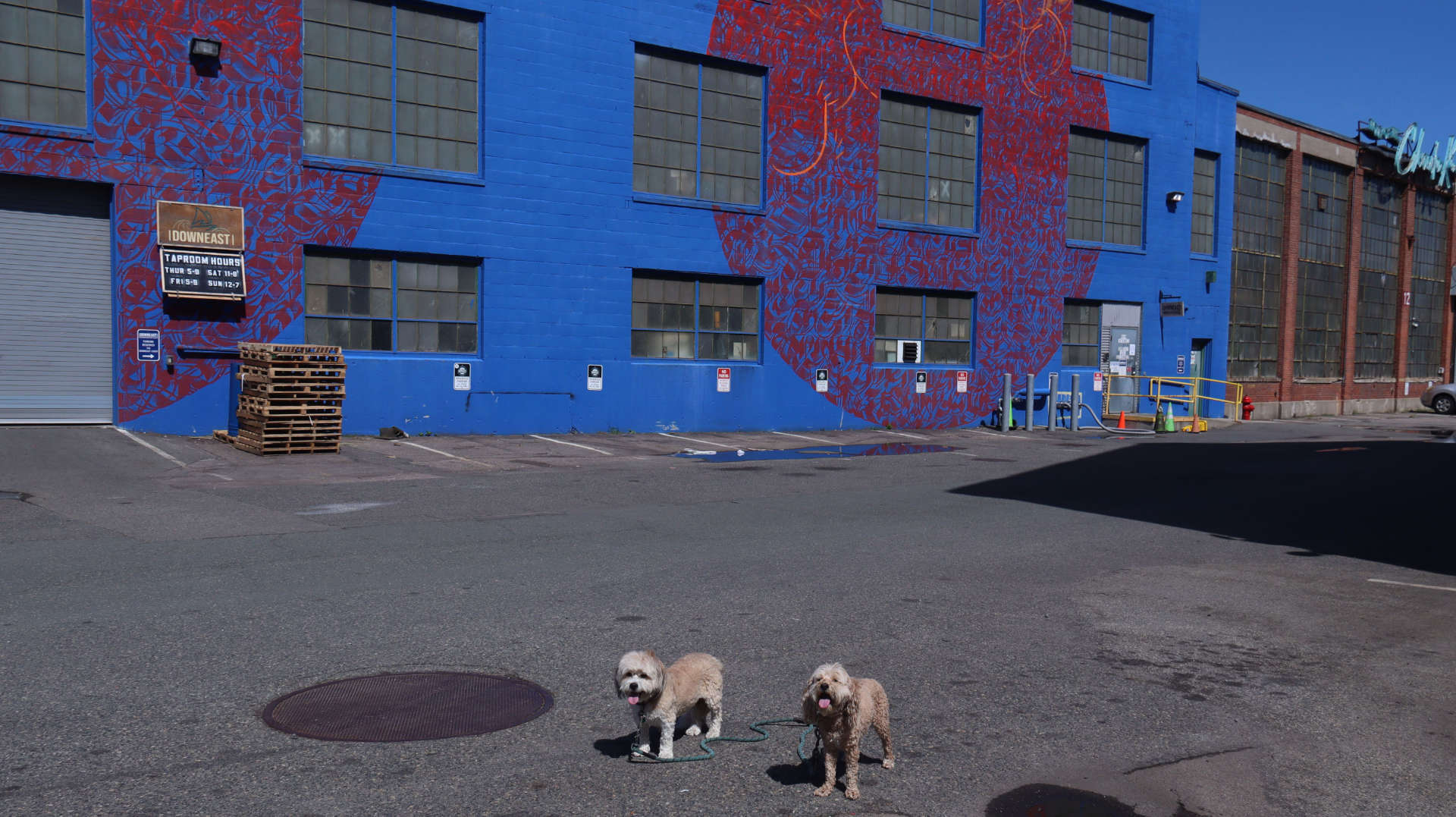 Boston416