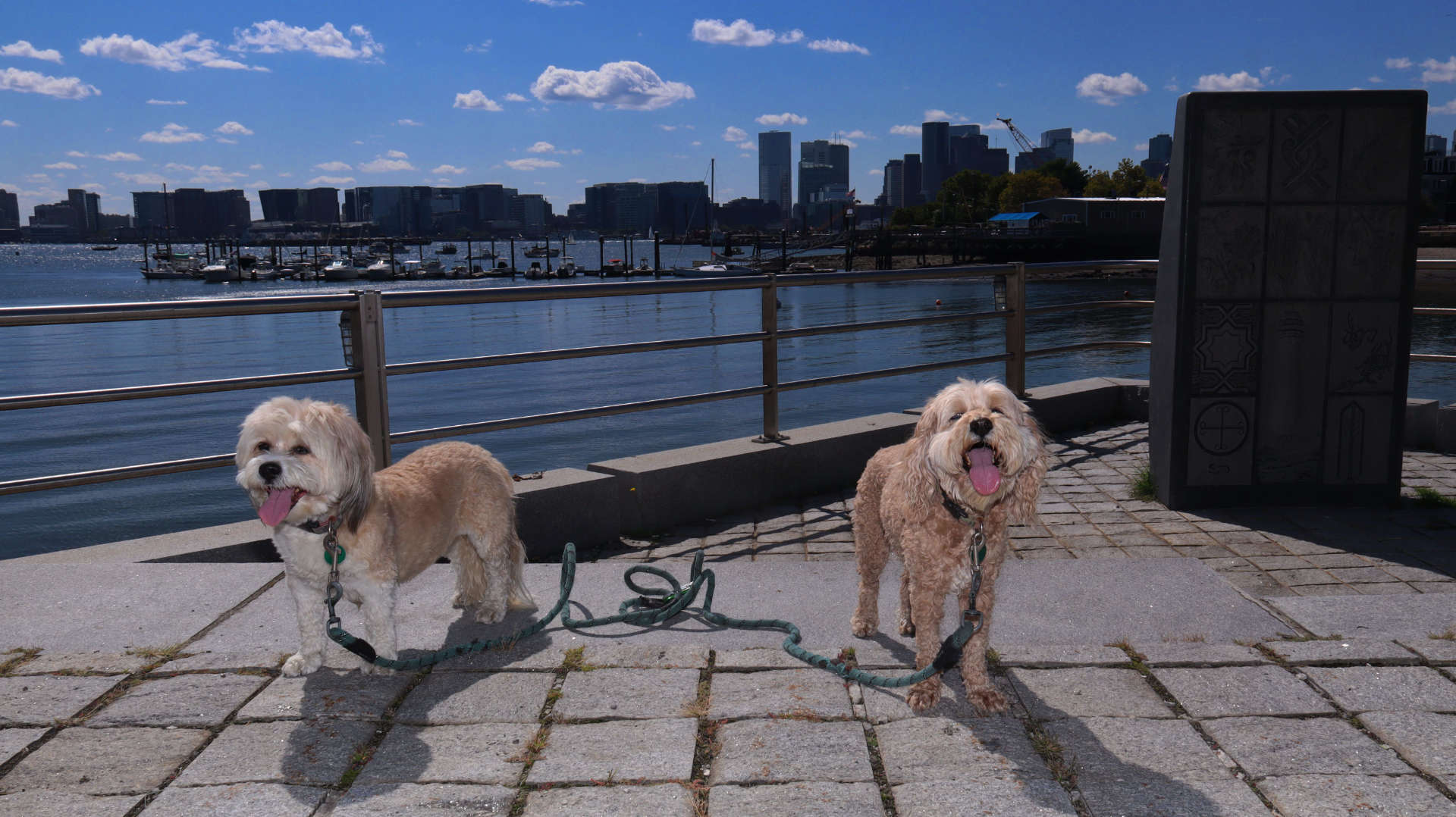 Boston419