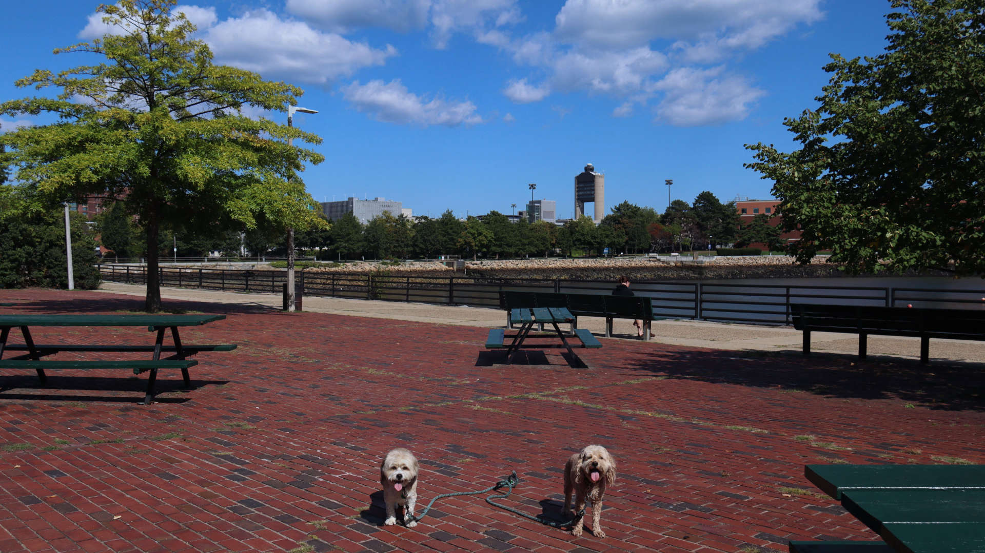 Boston430