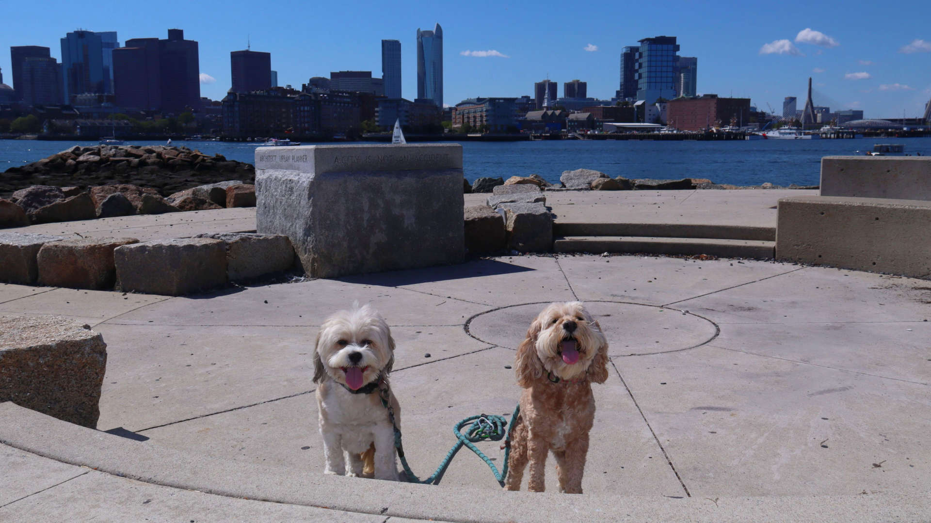 Boston433