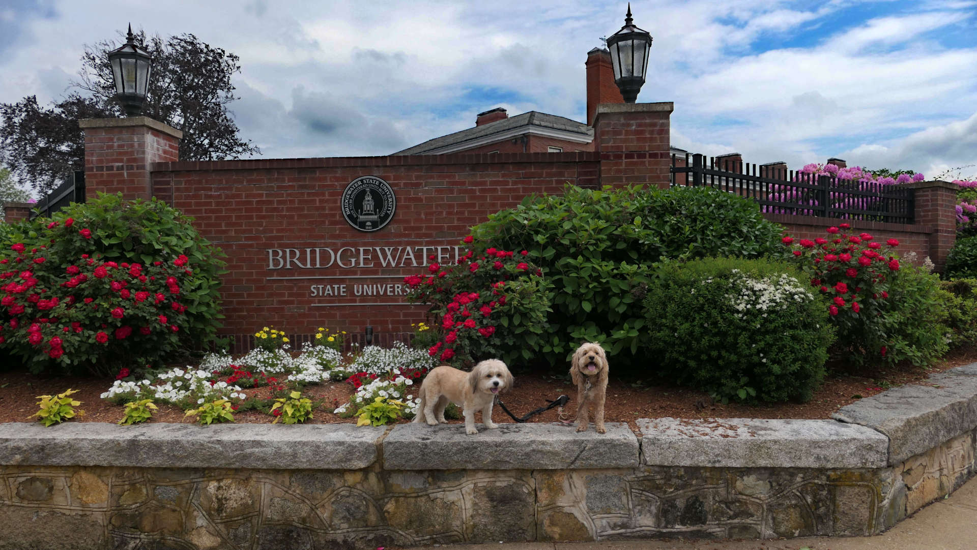 Bridgewater6
