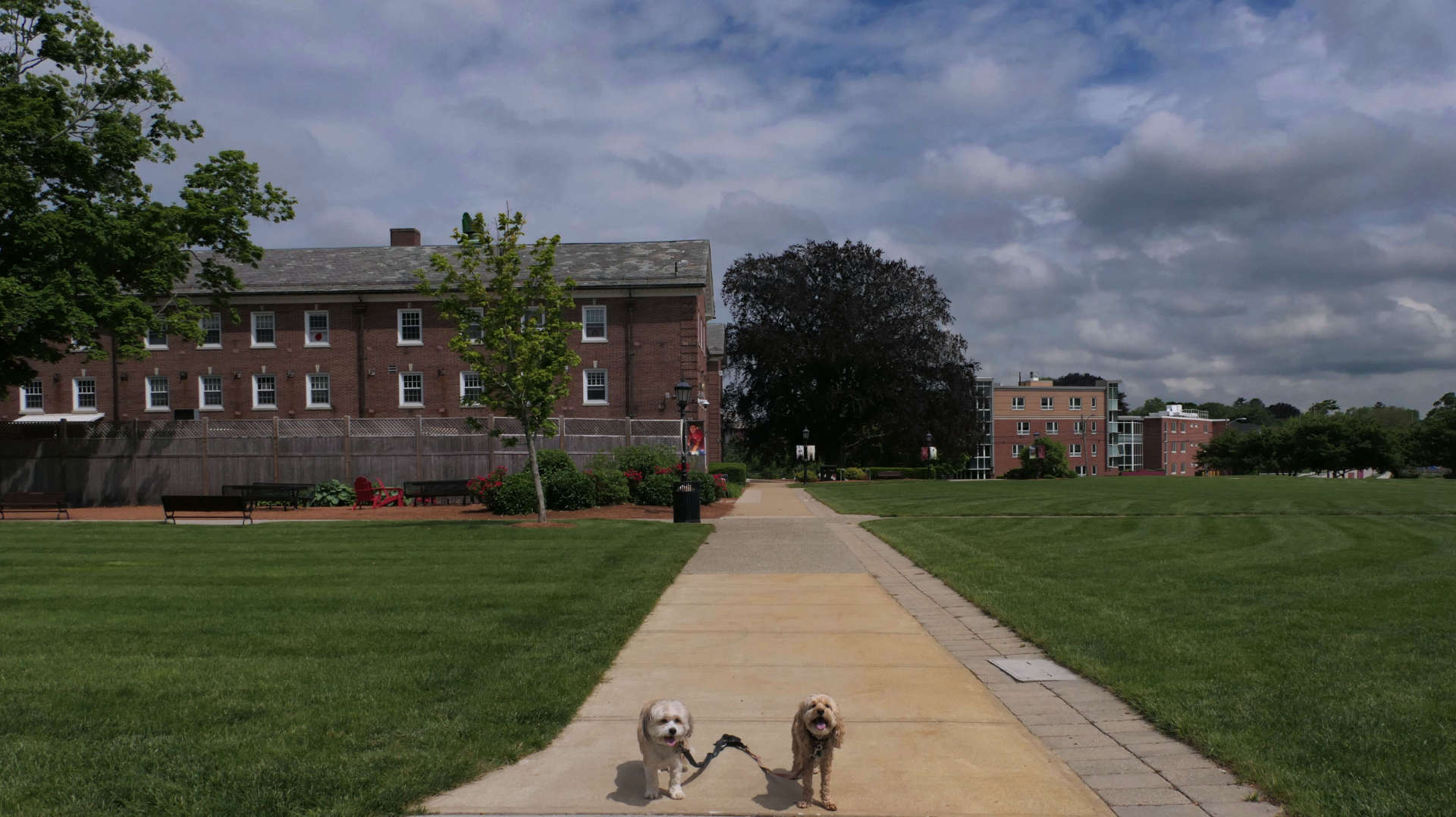 Bridgewater7