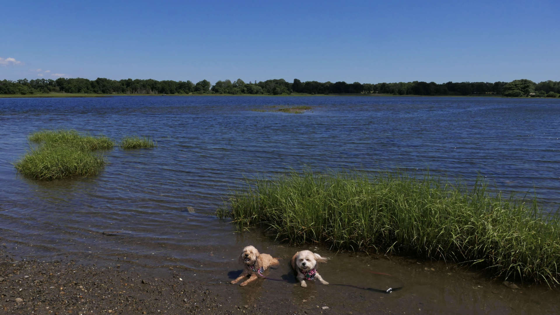 Colt State Park