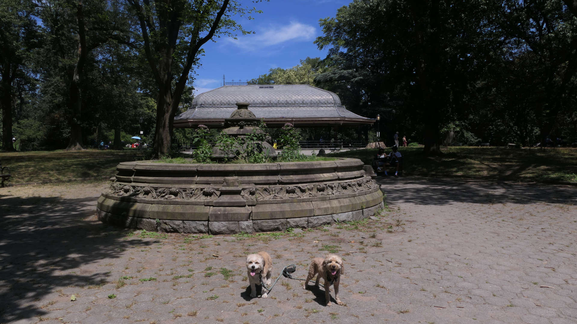 Brooklyn100