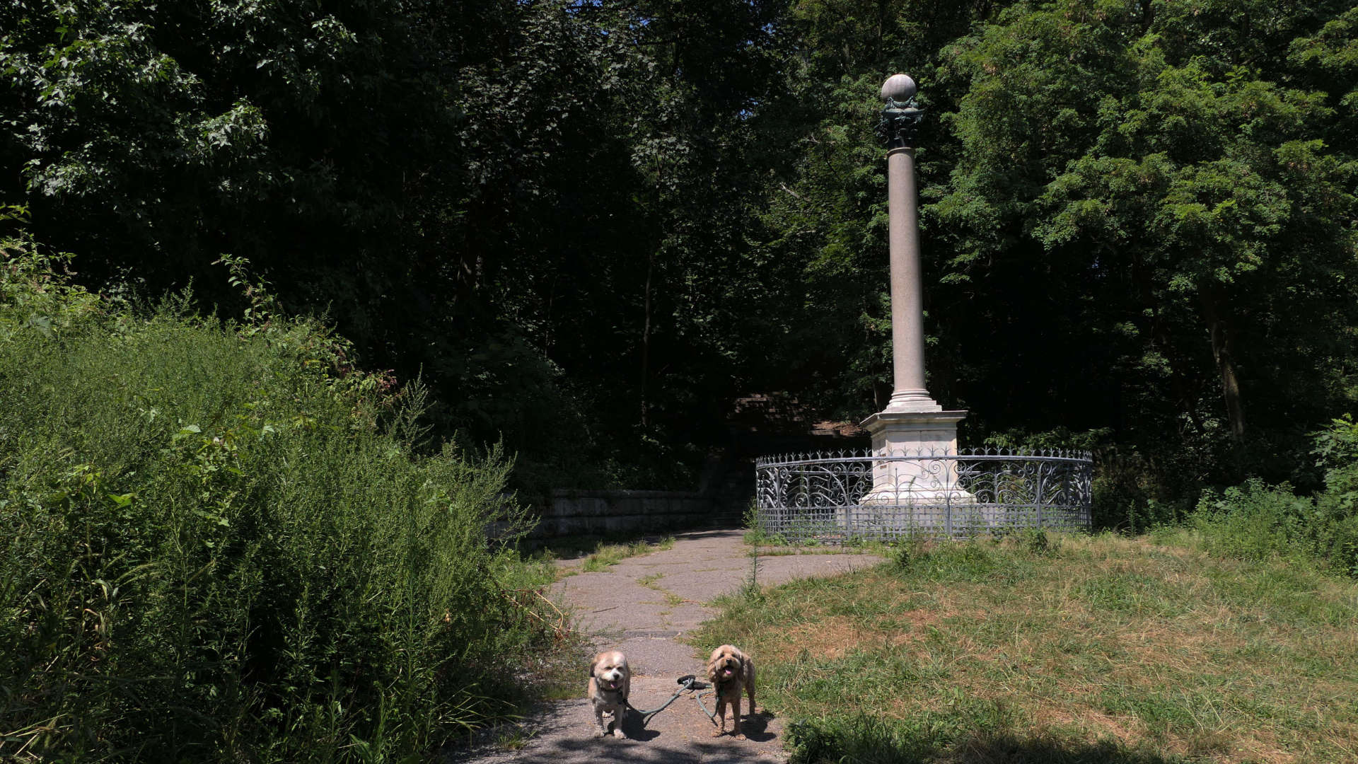 Brooklyn110