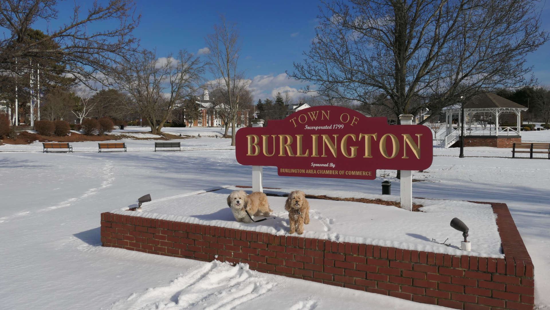 BurlingtonMA7