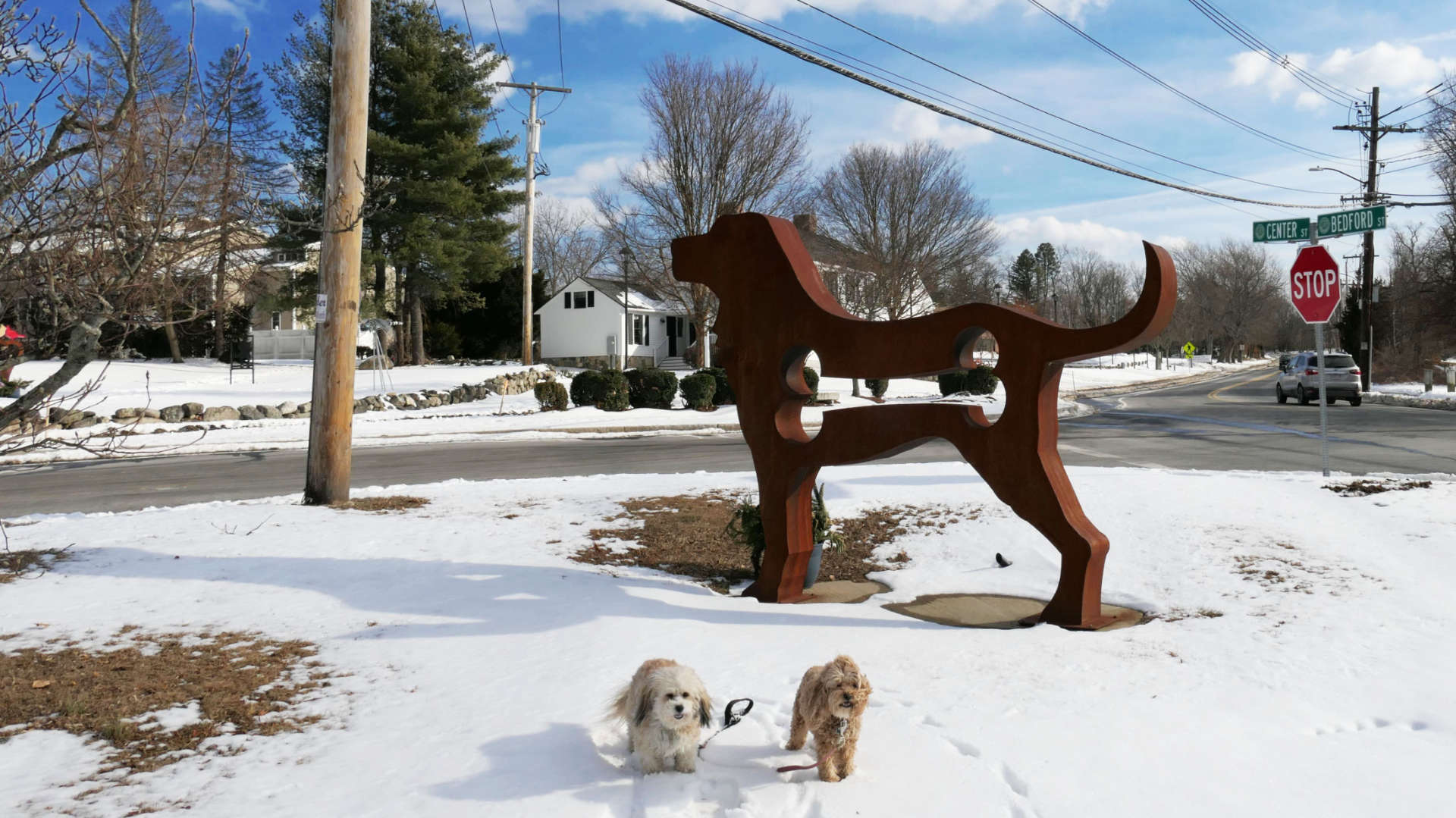 BurlingtonMA9