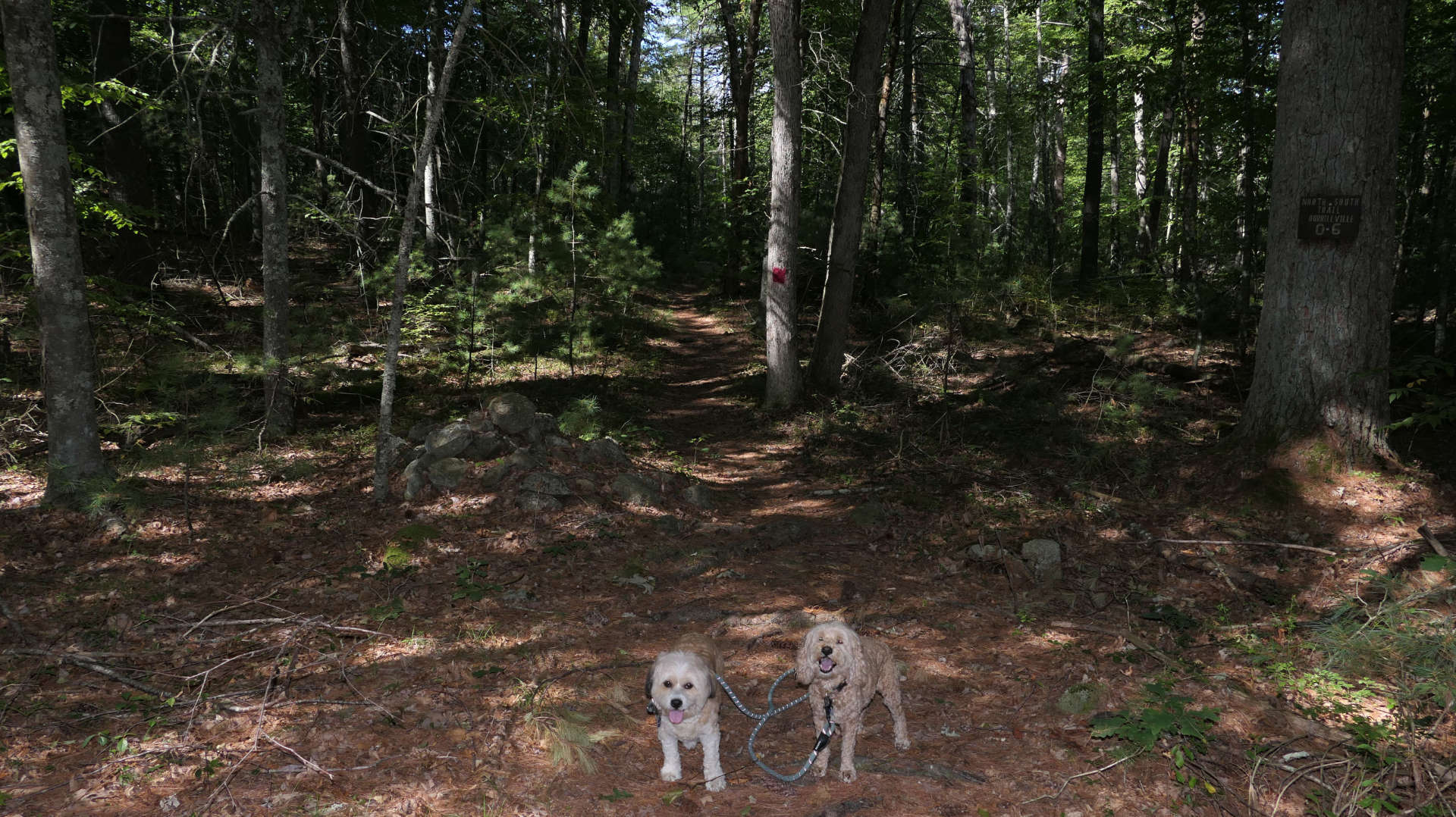 Burrillville45