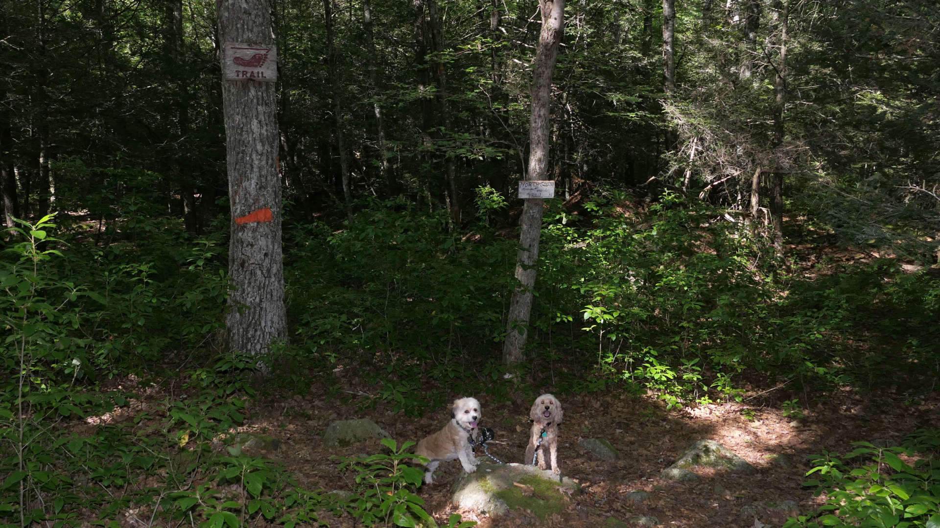 Burrillville47