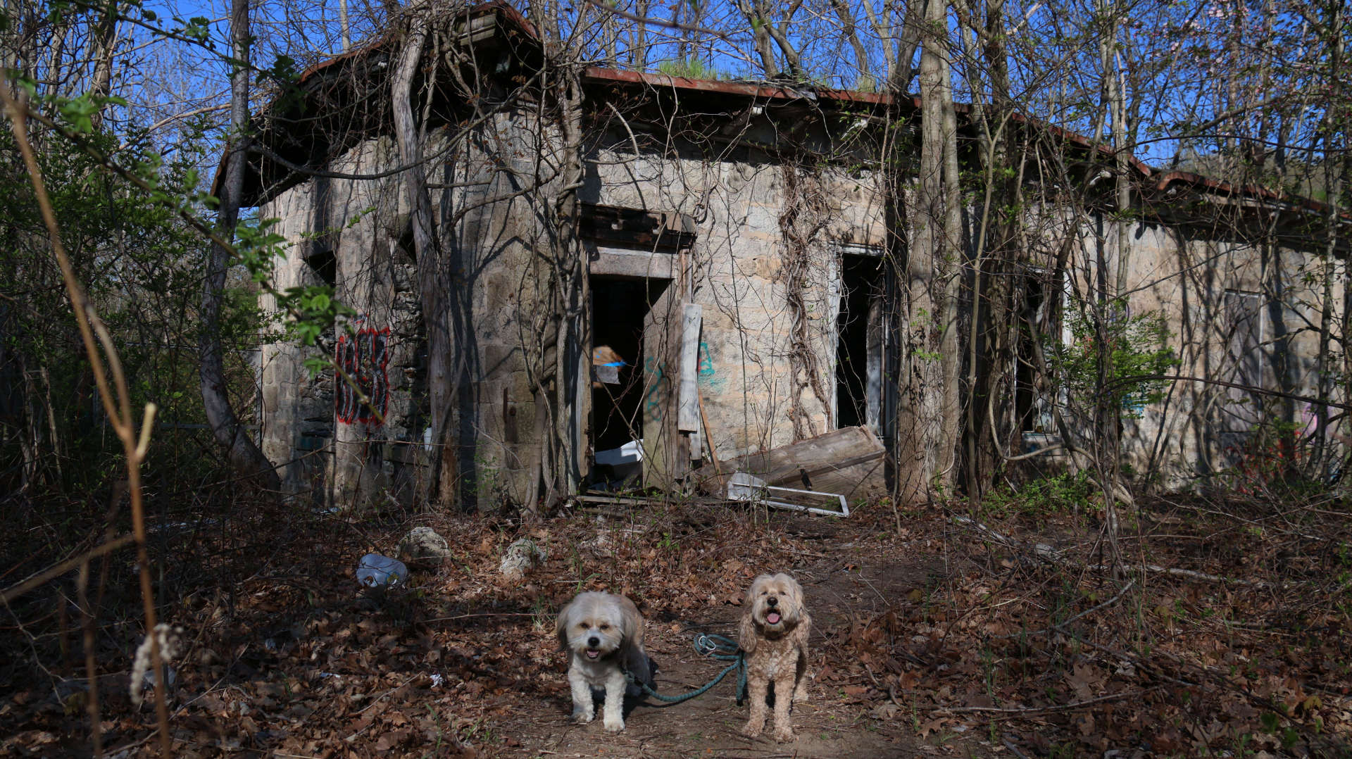 Burrillville53