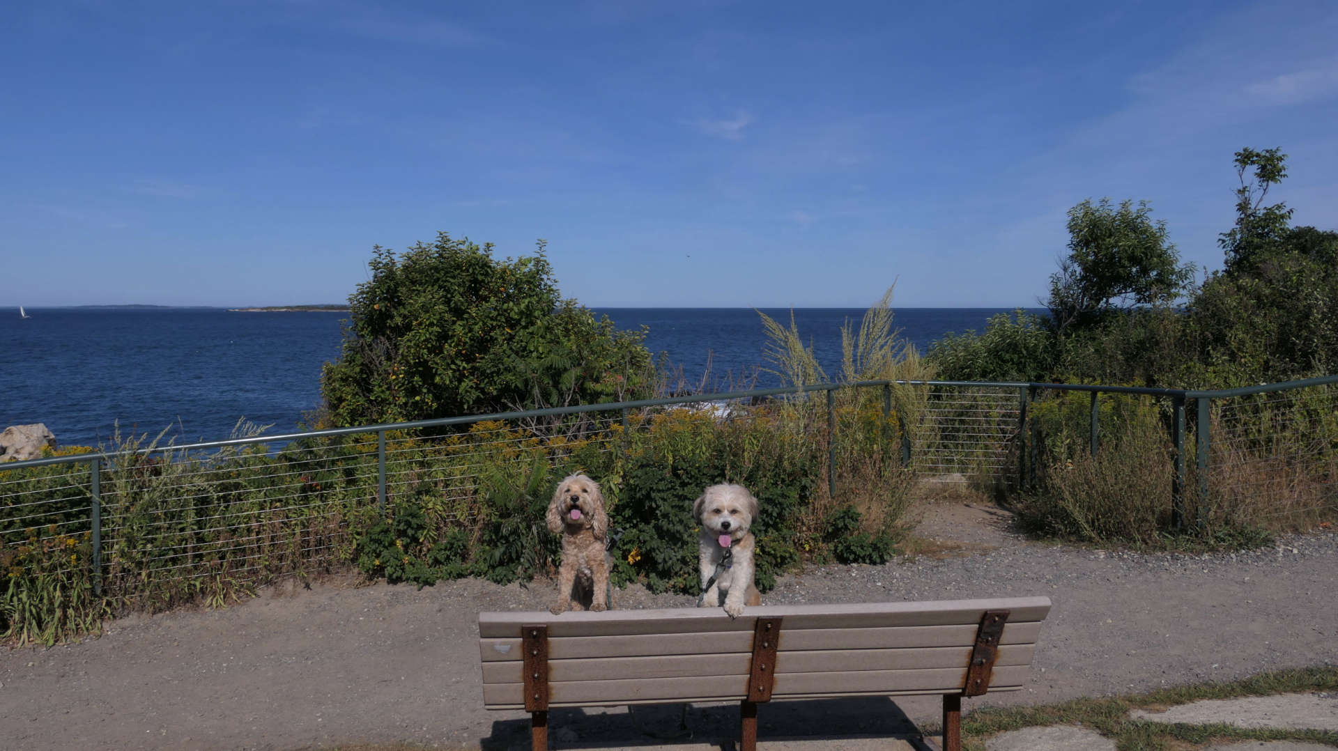 Cape_Elizabeth10