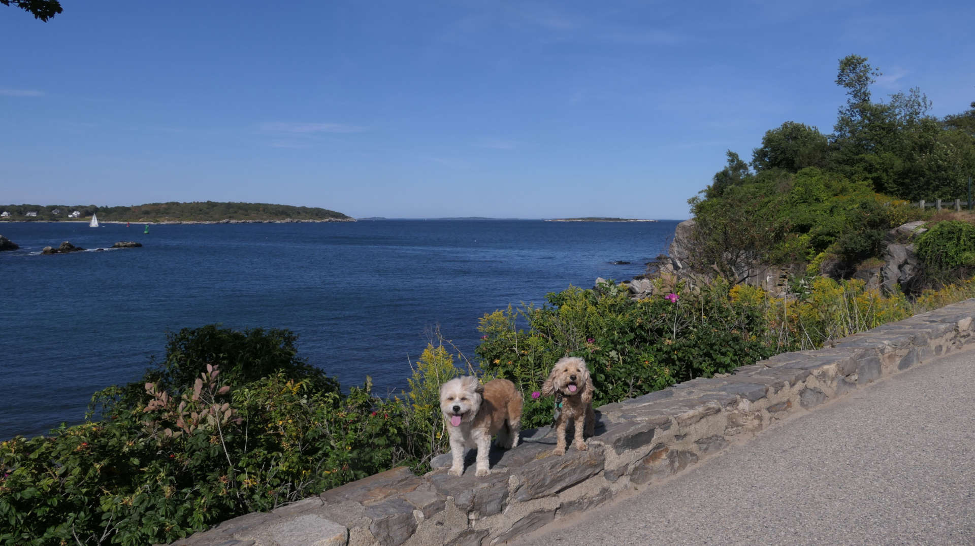 Cape_Elizabeth11