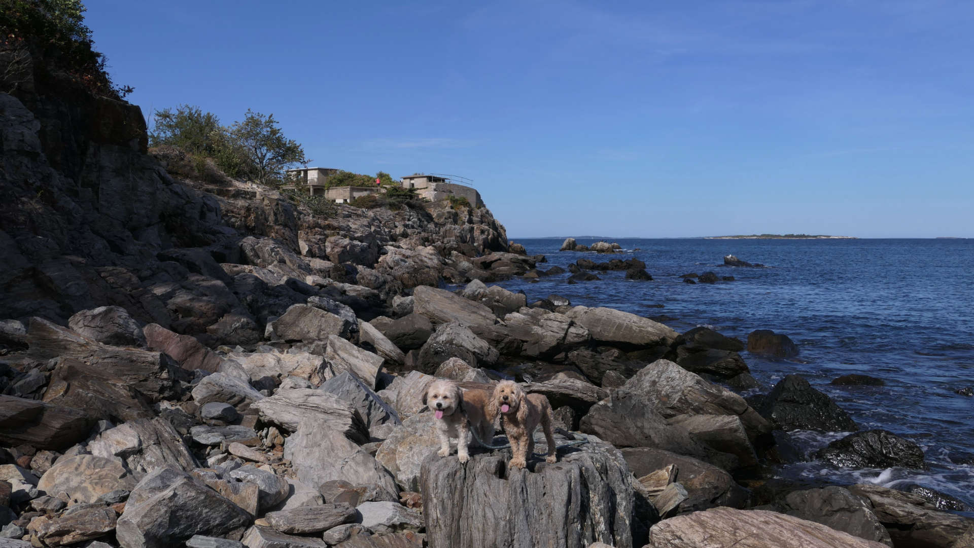Cape_Elizabeth12